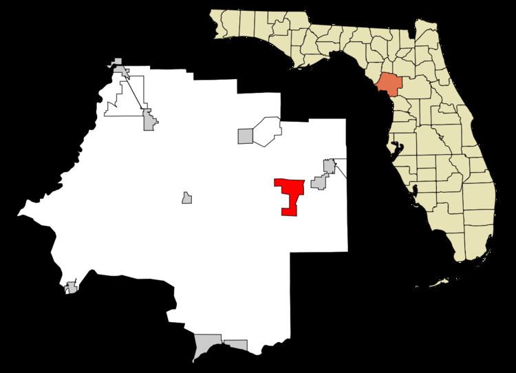 Williston Highlands, Florida