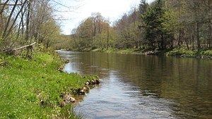 Willowemoc Creek httpsuploadwikimediaorgwikipediacommonsthu