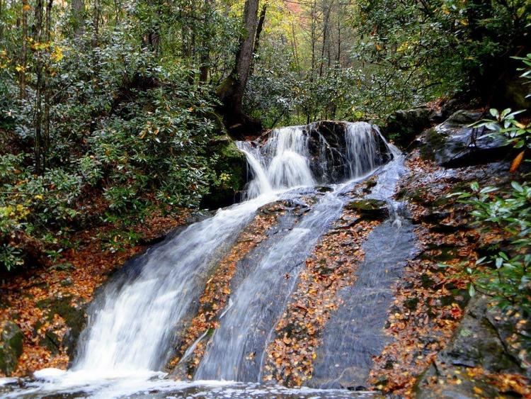 Wilson Creek (North Carolina) Wilson Creek Area Hiking Wild and Scenic River Waterfalls Wilderness