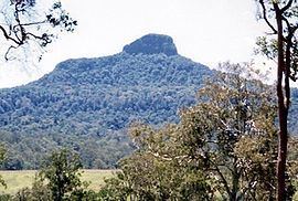 Wilsons Peak Flora Reserve httpsuploadwikimediaorgwikipediacommonsthu