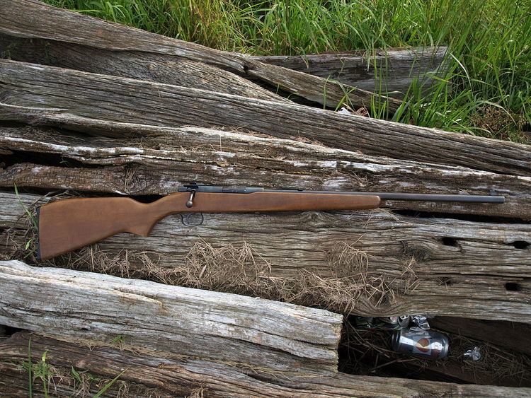 Winchester Model 121