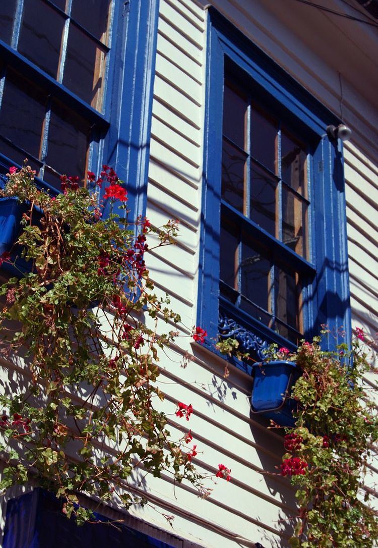 Window box