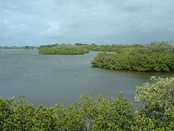 Windsor, Indian River County, Florida httpsuploadwikimediaorgwikipediacommonsthu