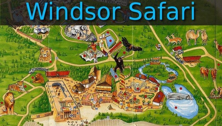 Windsor Safari Park Windsor Safari Park YouTube