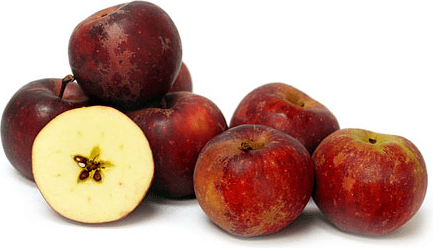Winesap Winesap Apple Information Recipes and Facts