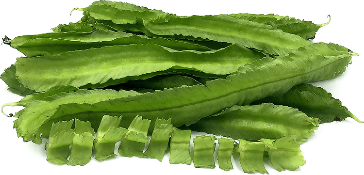 Winged bean Wing Beans Information Recipes and Facts
