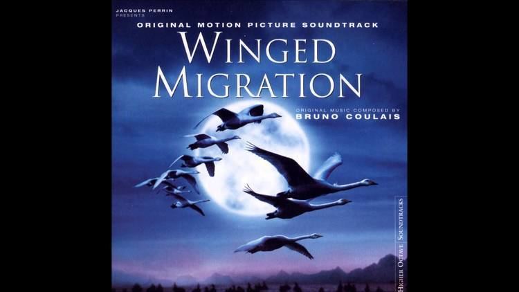 Winged Migration Beating Drums Winged Migration Soundtrack YouTube