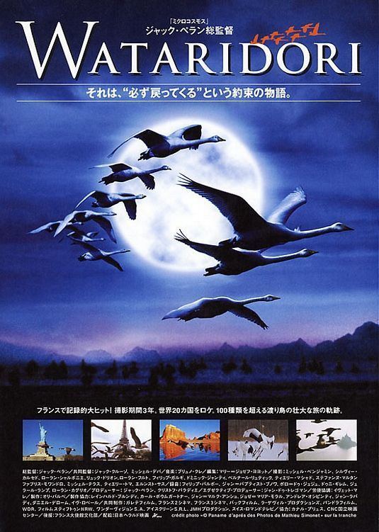 Winged Migration Winged Migration Movie Poster 3 of 4 IMP Awards