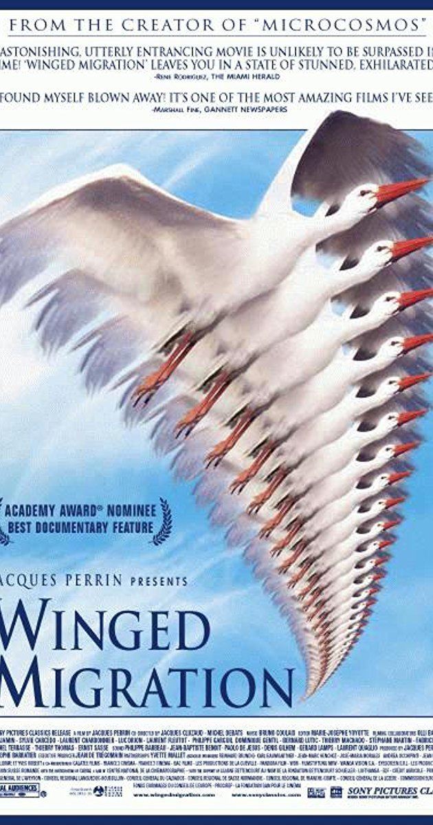 Winged Migration Winged Migration 2001 IMDb