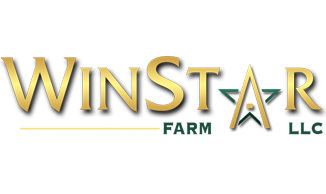 WinStar Farm wwwwinstarfarmcomdomainswwwwinstarfarmcomim