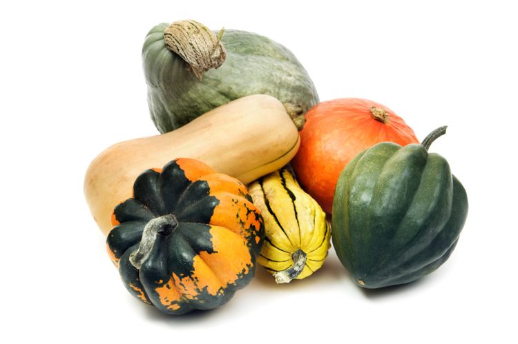 Winter squash Winter squash healthy autumn offering Morning Ag Clips