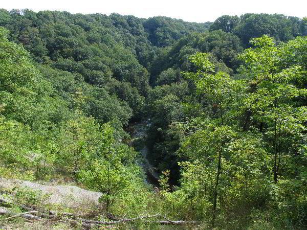 Wintergreen Gorge Wintergreen Gorge