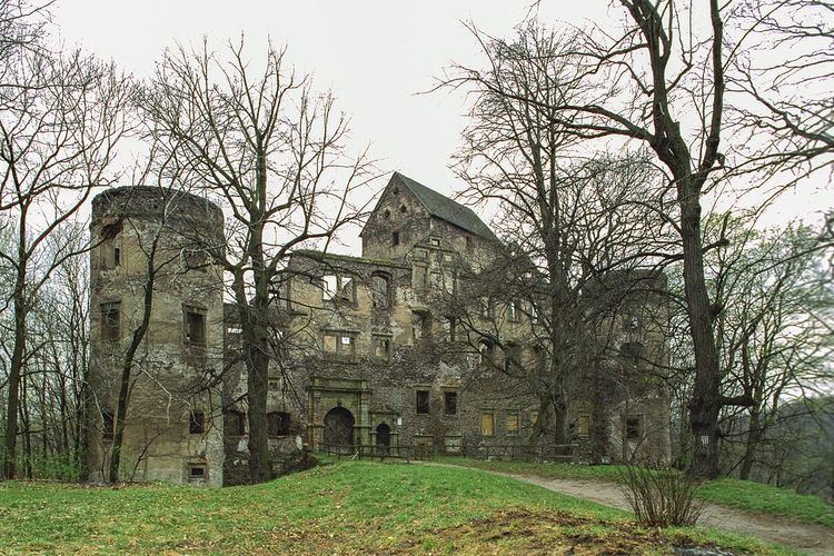 Świny Castle