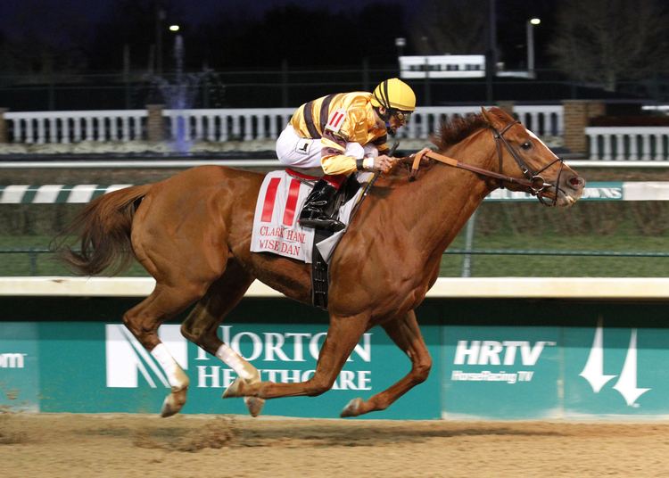 Wise Dan Keenelandbased Wise Dan named Horse of the Year for second year