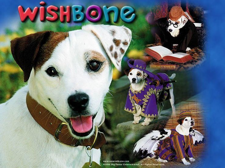 Wishbone (TV series) 78 images about Wishbone on Pinterest Literature Little dogs and TVs