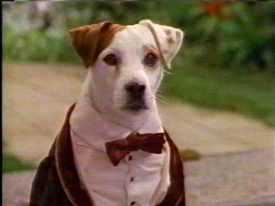Wishbone (TV series) 17 Best images about wishbone on Pinterest Growing up The 90s and Kid