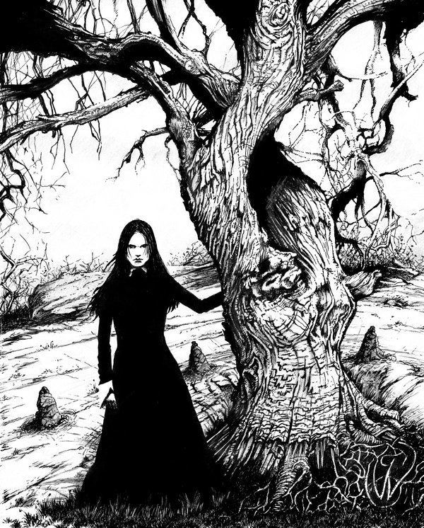 Witch Tree Witch Tree by MonsterMansion on DeviantArt