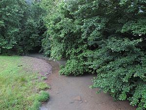 Witcher Creek httpsuploadwikimediaorgwikipediacommonsthu