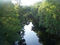 Withlacoochee River (Florida) httpsuploadwikimediaorgwikipediacommonsthu