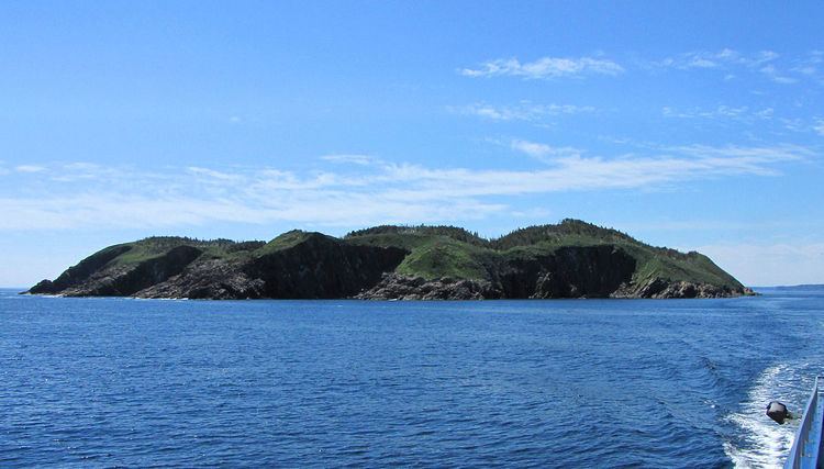Witless Bay Ecological Reserve