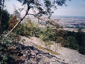 Świętokrzyski National Park httpsuploadwikimediaorgwikipediacommonsthu