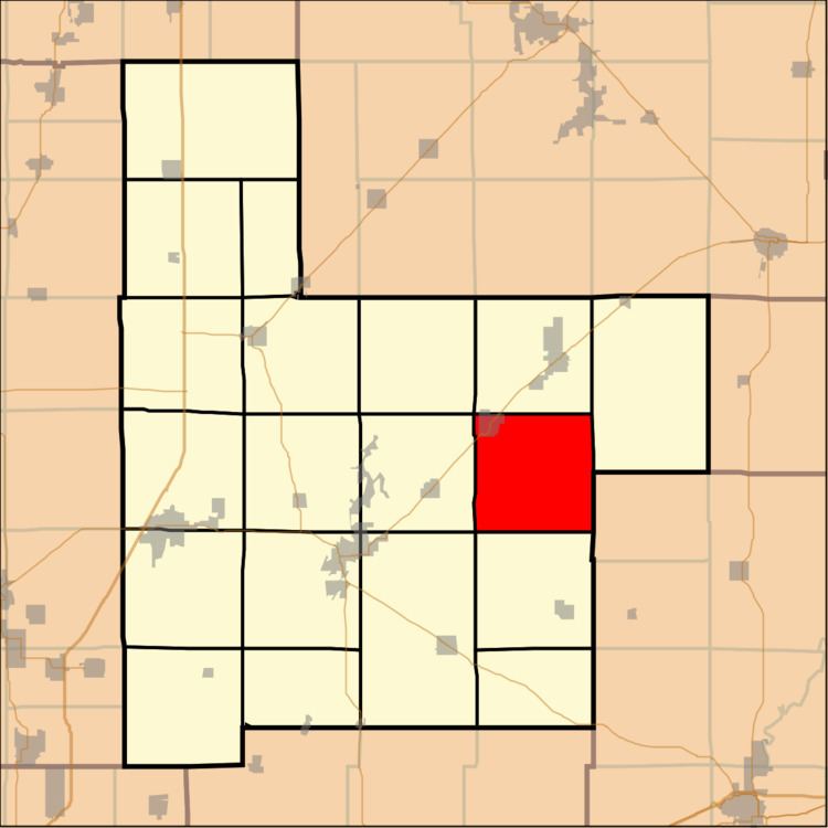 Witt Township, Montgomery County, Illinois
