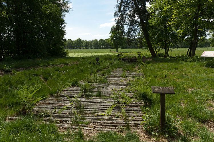 Wittemoor timber trackway