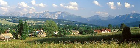 Witów, Tatra County wwwszwajnosowkacomimgwitowjpg