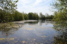 Wivenhoe Gravel Pit httpsuploadwikimediaorgwikipediacommonsthu