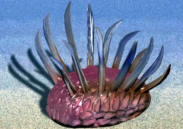 Wiwaxia How Mollusks Got Their Teeth Paleontology SciNewscom