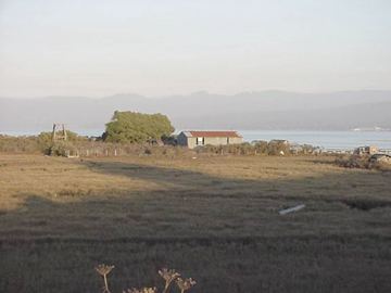 Wiyot Tribe Tuluwat salt marsh with old buildings and dock Photo courtesy of