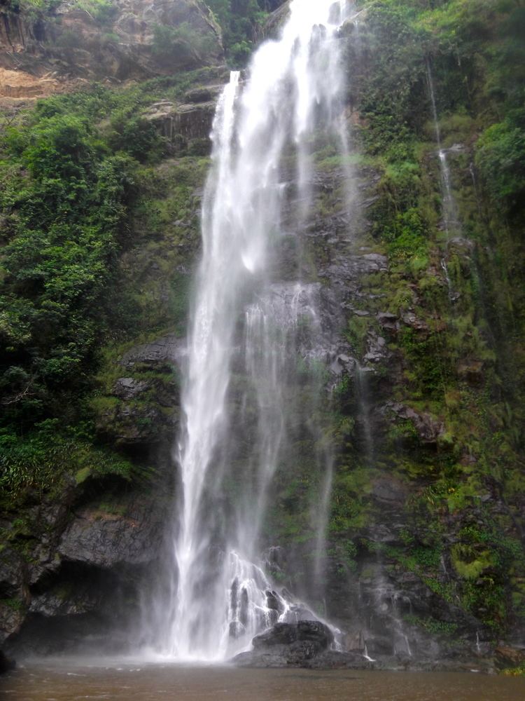 Wli waterfalls Wli Waterfalls and the Monkey Sanctuary Penns International