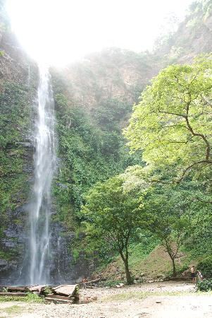 Wli waterfalls Wli Waterfalls Hohoe Ghana Top Tips Before You Go TripAdvisor