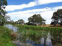 Woady Yaloak River httpsuploadwikimediaorgwikipediacommonsthu