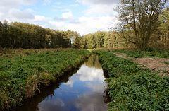 Wołcza (river) httpsuploadwikimediaorgwikipediacommonsthu
