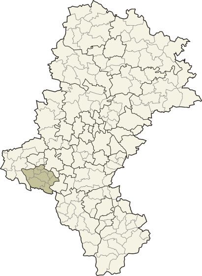 Wodzisław County