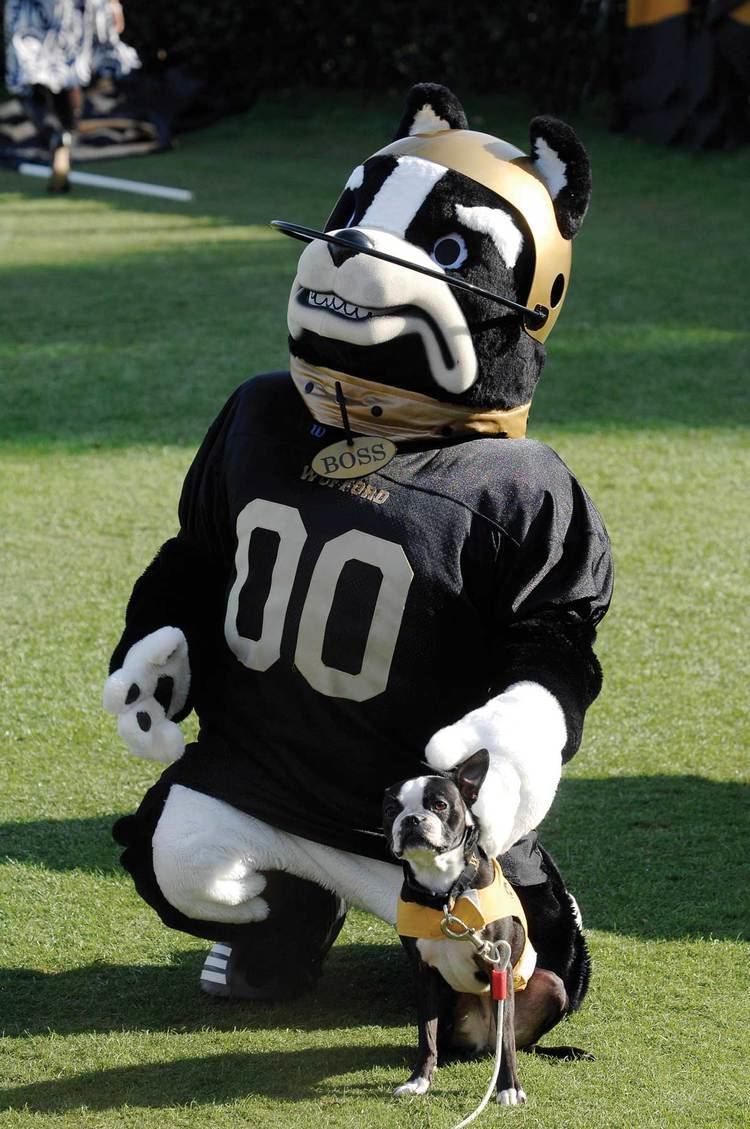 Wofford Terriers 78 images about Wofford Terriers on Pinterest Rip it up Boss and