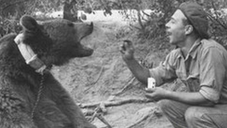 Wojtek (bear) Story of Polands soldier bear Wojtek turned into film BBC News