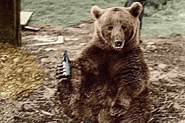 Wojtek (bear) Wojtek the Bear that fought in World War 2