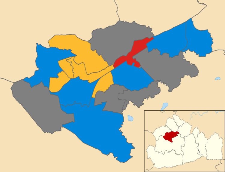 Woking Borough Council election, 2002