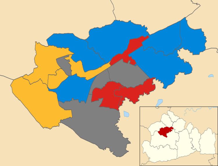 Woking Borough Council election, 2003