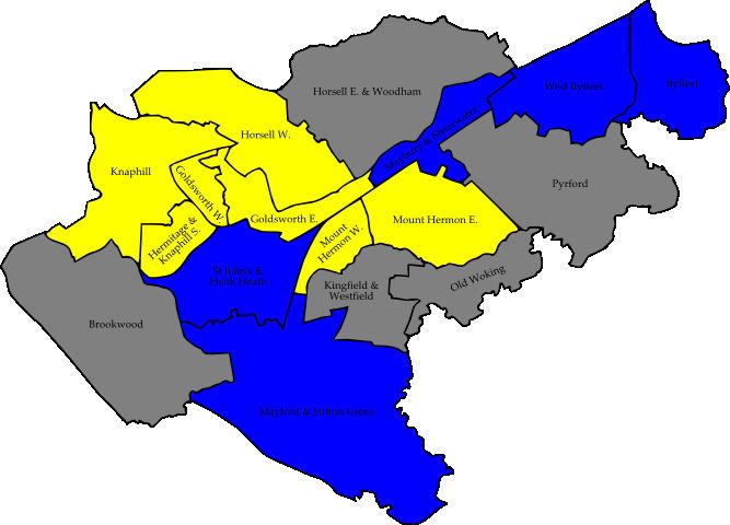 Woking Borough Council election, 2006
