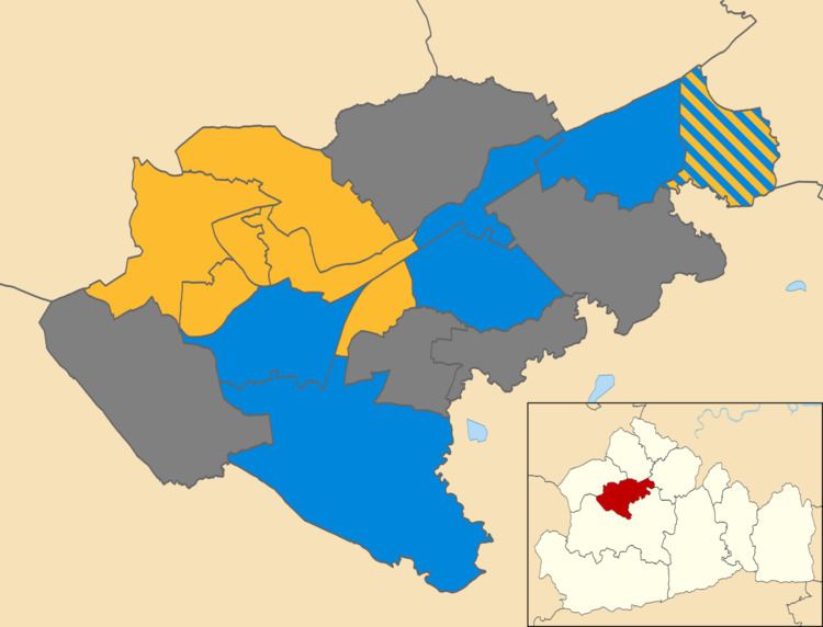 Woking Borough Council election, 2010