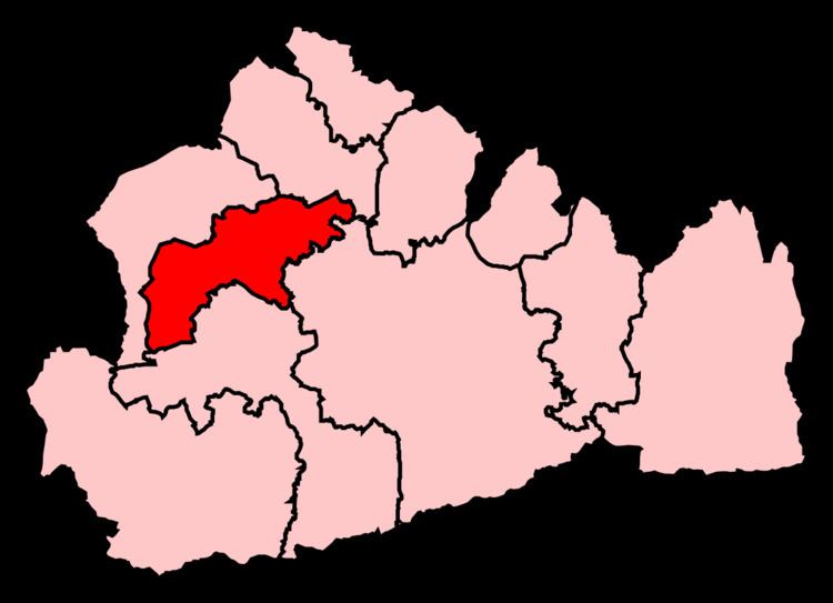 Woking (UK Parliament constituency)