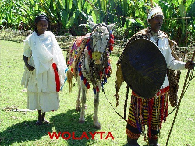 Wolayita Zone About Wolaita