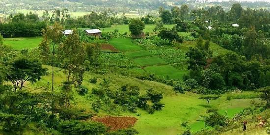 Wolayita Zone Damot Mountain on the way from Awassa to Wolayta Zone Picture of