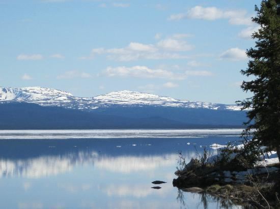 Wolf Lake (Yukon) httpsmediacdntripadvisorcommediaphotos03