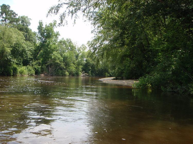 Wolf River (Tennessee) httpsnoadventurefileswordpresscom2010073