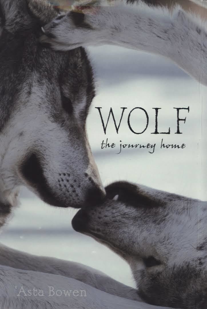 Wolf: The Journey Home t0gstaticcomimagesqtbnANd9GcT4ke8o0Ey7QGDst