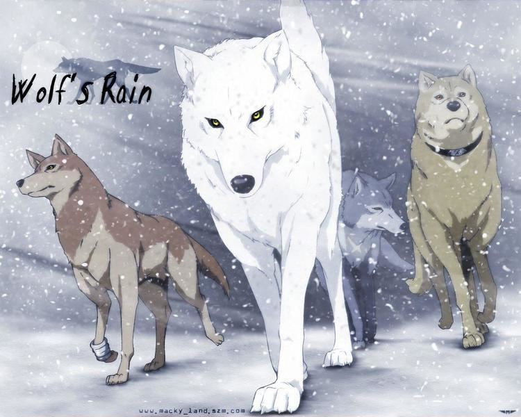 Wolf's Rain Wolfs Rain Wallpapers Wallpaper Cave